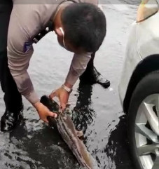 Patroli Banjir, Personel...