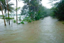Padaherang Digenangi...