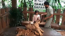 Lucu dan Menggemaskan,...