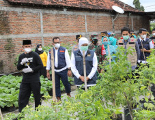Kampung Tangguh di Jawa...