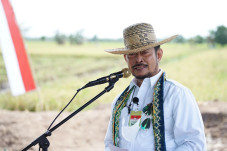 Panen Padi di Lahan...