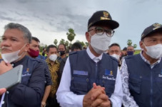 Panen Perdana Benih...