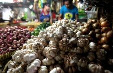 Bantah Stok Bawang Putih...