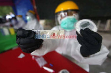 Update Corona: Positif...