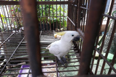 Warga Serang Serahkan...