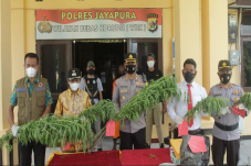 Polres Jayapura Temukan...
