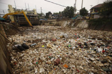 Membuang Sampah Sembarangan...