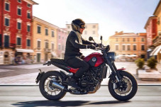Benelli Leoncino 500...