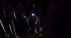 Ular Piton 3 Meter Kembali...