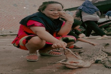 Lubuklinggau Gempar,...