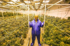 Mike Tyson Nikmati Bisnis...