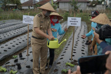 Urban Farming Versi...