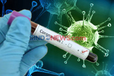 Brebes Diterjang Virus...