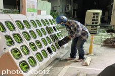 Skuter Listrik Taiwan,...