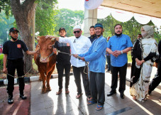 Soal Impor Daging Jelang...