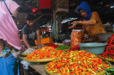Pedas, Harga Cabai Rawit...