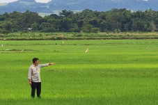Asuransi Cover Lahan...
