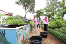 Budidaya Ikan Lele di...