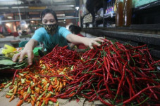 Harga Cabai Kian Menggigit!...