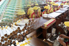 Penyusunan Road Map...