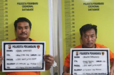 Kepala Anjing Dilempar...
