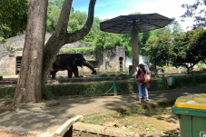 Hari Ini, Taman Margasatwa...