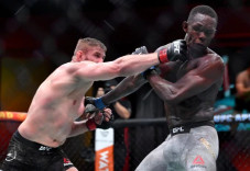 Jan Blachowicz Habisi...
