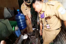 Purbalingga Gempar,...