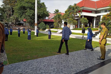 Ratusan CPNS Formasi...