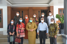 Pengangkatan Honorer...