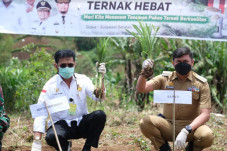 Industri Pengolahan...