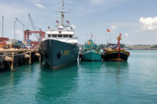 Berkeliaran di Laut...