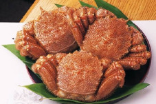 Sisca Kohl Review Kepiting...