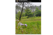 Serunya Berwisata di...
