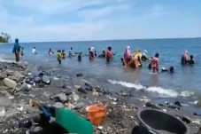 Maluku Tengah Gempar,...