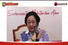 Megawati: Tanaman Saja...