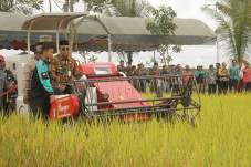 Surplus Beras Sejak...