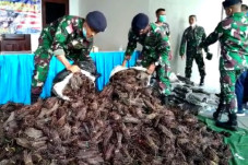 4 Warga Papua Nugini...