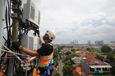Meski Ada Larangan Mudik,...