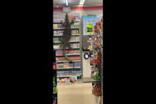 Viral, Biawak Raksasa...