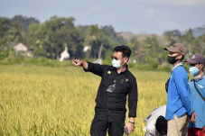 Kementan Dukung Milenial...