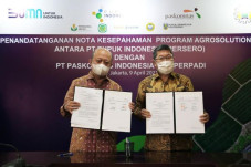 Perluas Program Agro...
