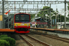 Pohon Tumbang Hambat...