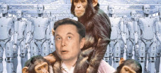 Elon Musk Pamer Monyet...