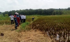 Petani di Blora Menangis,...