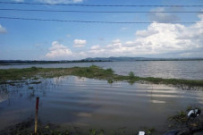 Rawa Pening Meluap,...