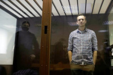 Mogok Makan, Navalny...
