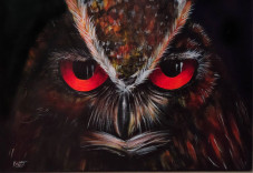 Renungan: Kisah Burung...