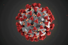 Gunungkidul Gempar,...