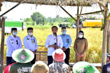 Presiden Senang, Panen...